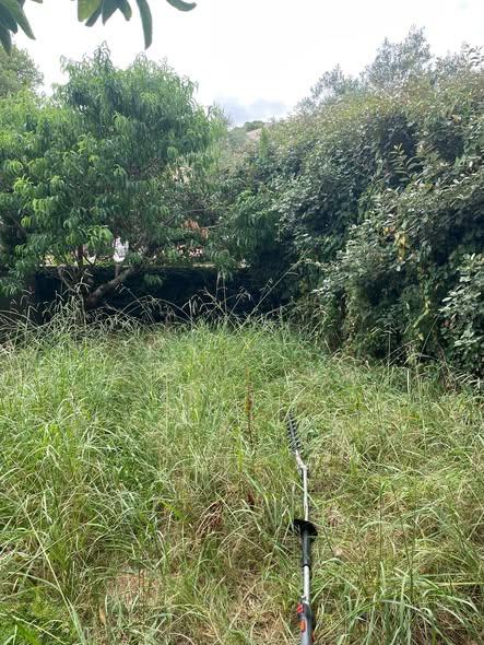 Chantier d'entretien de jardin réalisé par LES JARDINS D'OIHAN, paysagiste du réseau Factotum, près de Mouguerre