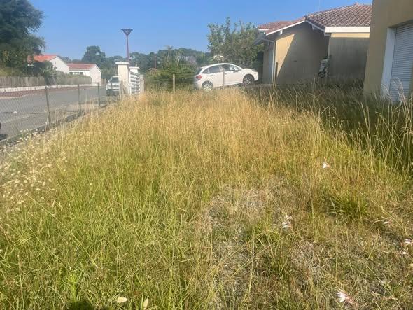 Chantier d'entretien de jardin réalisé par LES JARDINS D'OIHAN, paysagiste du réseau Factotum, près de Mouguerre